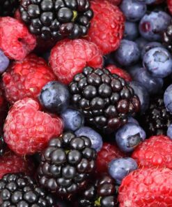 Mix de Frutos Rojos congelados IQF Grado A