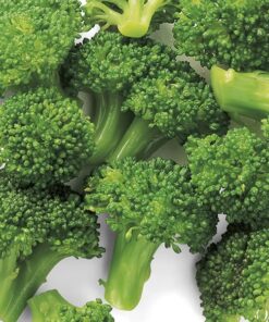 Brócoli Florete Congelado